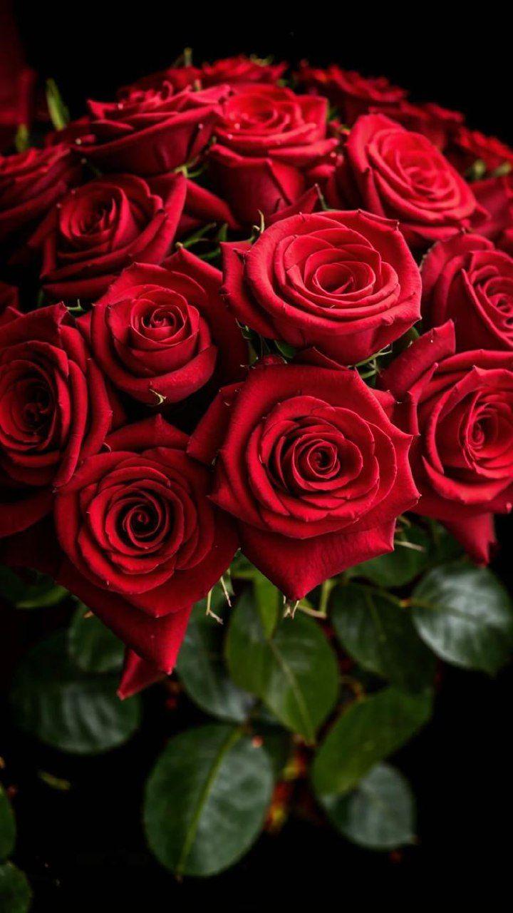 Mindful Living Journey workshop space where corporate flower arrangements are designed and prepared for business delivery